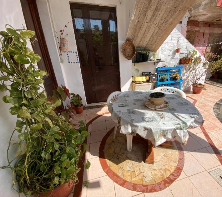 Giba Shaka Guest House מראה חיצוני תמונה